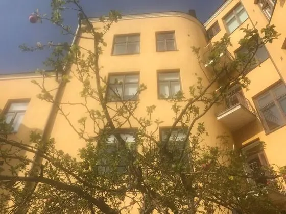 Apart Daire, 1 Büyük (Queen) Boy Yatak