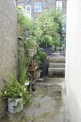 Apart Daire, 1 En Büyük (King) Boy Yatak