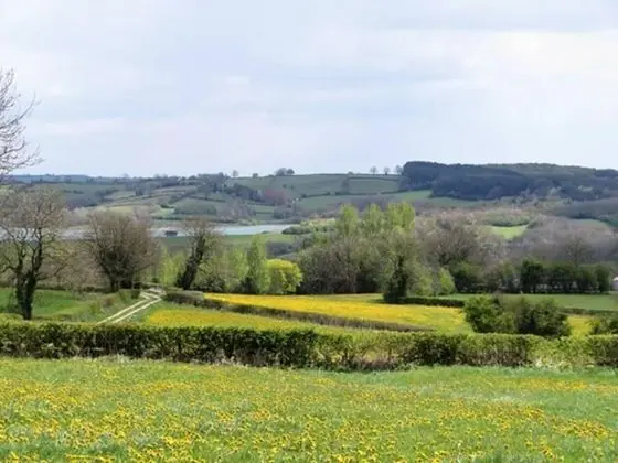 Kır Evi, Birden Çok Yatak