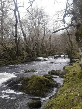 Kulübe, 1 Büyük (Queen) Boy Yatak