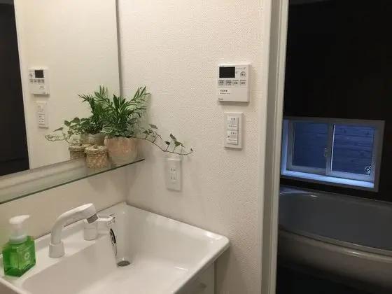 Traditional Sıra Ev