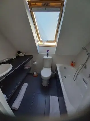 Çatı Katı (Loft)