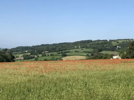 Luxury Apart Daire, Banyolu/Duşlu, Bahçe Manzaralı (Cotswold Lodge)