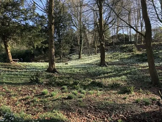 Luxury Apart Daire, Banyolu/Duşlu, Bahçe Manzaralı (Cotswold Lodge)