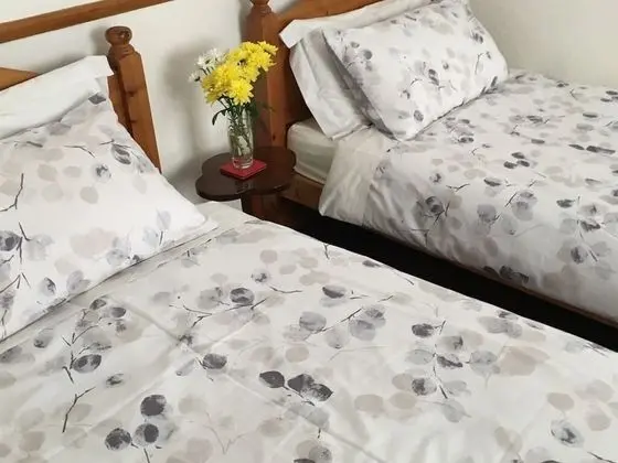 İki Ayrı Yataklı Oda, Banyolu/Duşlu