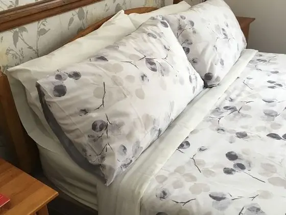 Tek Büyük Yataklı Oda, Banyolu/Duşlu