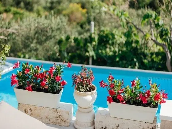 Ev (One bedroom Holiday Home with pool an)