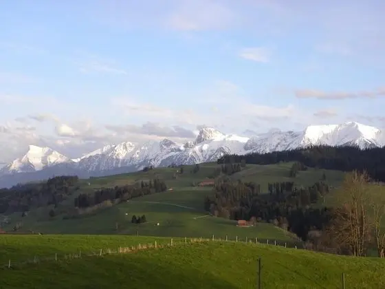 Design Tek Büyük Yataklı Oda, Dağ Manzaralı (Blanche)