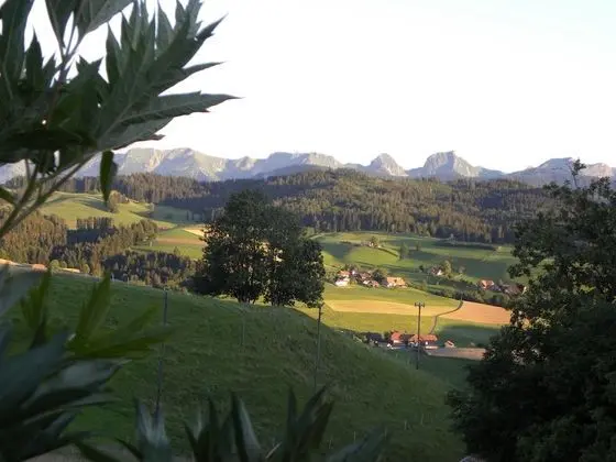 Design Tek Büyük Yataklı Oda, Dağ Manzaralı (Fleur de Lys)