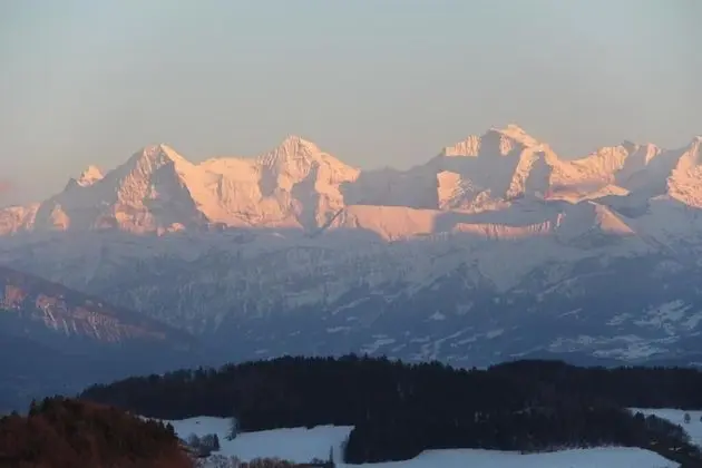 Family Tek Büyük Yataklı Oda, Dağ Manzaralı (Nordica)