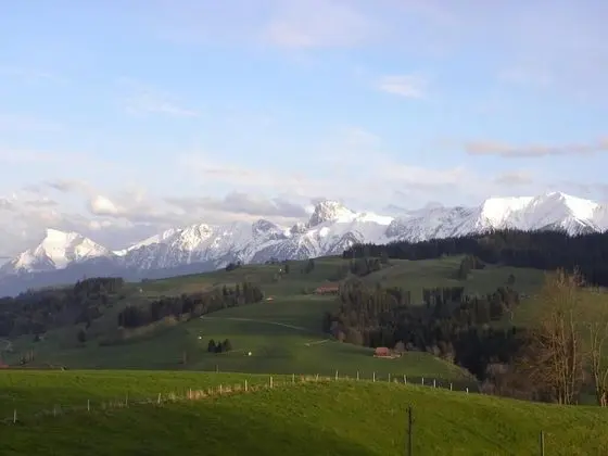 Family Tek Büyük Yataklı Oda, Dağ Manzaralı (Nordica)