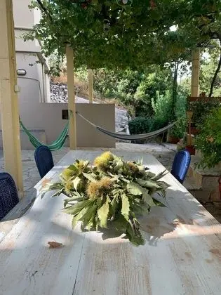Apart Daire, Bahçe Manzaralı