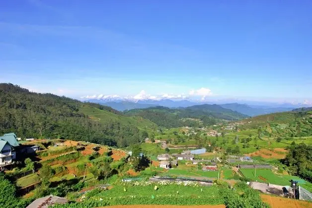 Grand Tek Büyük Yataklı Oda