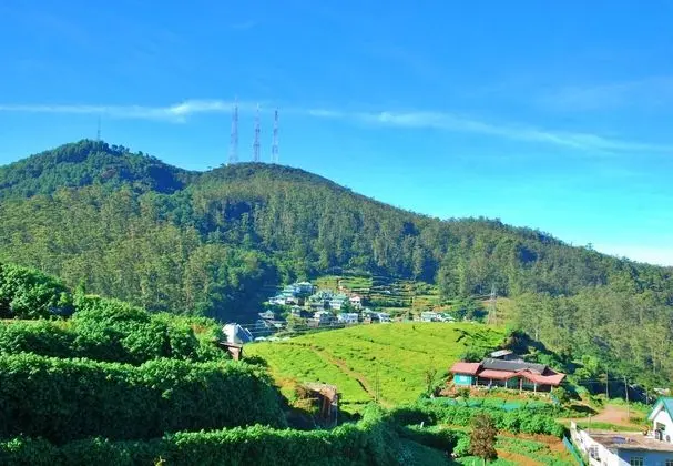 Grand Tek Büyük Yataklı Oda