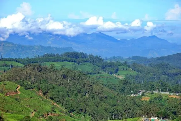 Grand Tek Büyük Yataklı Oda