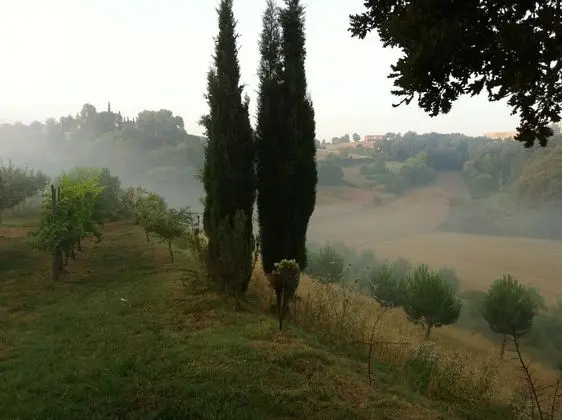 Çatı Katı (Loft), 1 Yatak Odası, Engellilere Uygun, Sigara İçilebilir