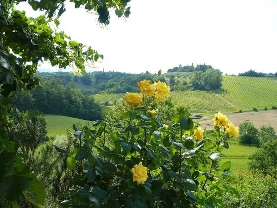 Çatı Katı (Loft), 1 Yatak Odası, Engellilere Uygun, Sigara İçilebilir