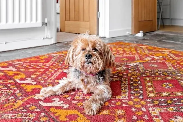 Comfort Ev, Banyolu/Duşlu