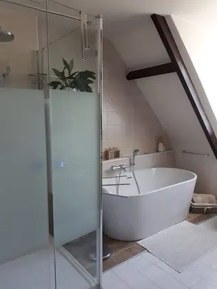 Comfort Tek Büyük Yataklı Oda, Özel Banyo (Camille seule)