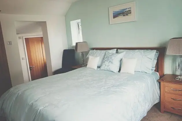 Deluxe Tek Büyük Yataklı Oda (Room 1)