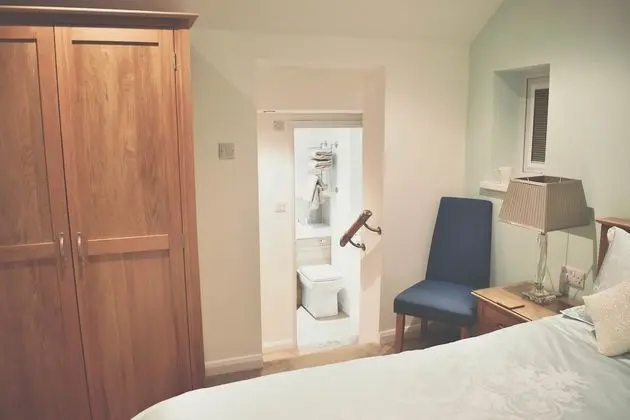 Deluxe Tek Büyük Yataklı Oda (Room 1)