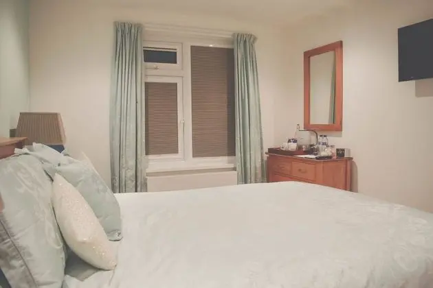 Deluxe Tek Büyük Yataklı Oda (Room 1)