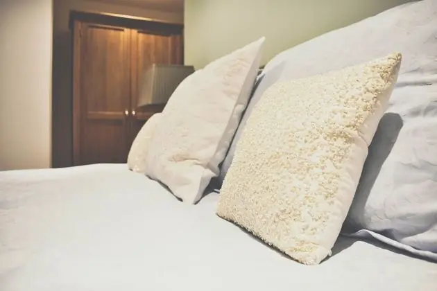 Deluxe Tek Büyük Yataklı Oda (Room 2)