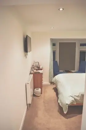 Deluxe Tek Büyük Yataklı Oda (Room 3)