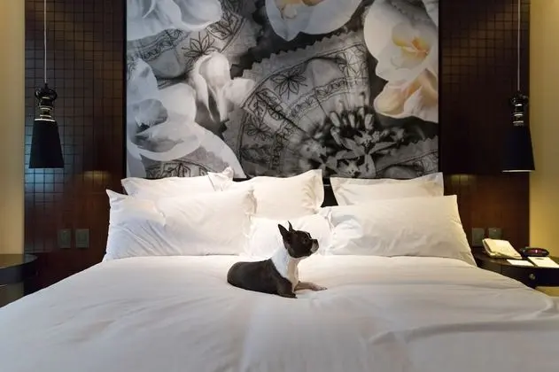 Legacy Garden Suite