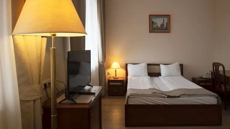 Business Tek Büyük Yataklı Oda, 1 Çift Kişilik Yatak