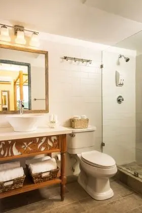 Premium Kır Evi