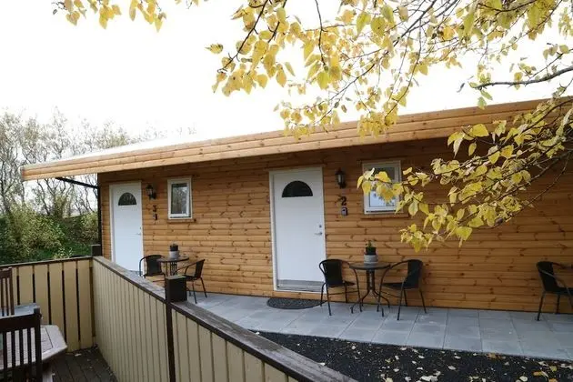 Basic Stüdyo