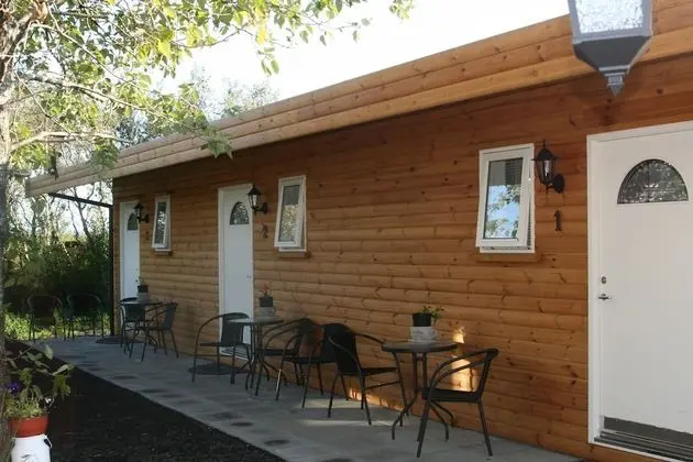Basic Stüdyo