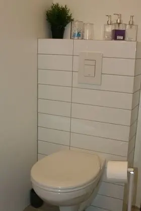 Basic Stüdyo