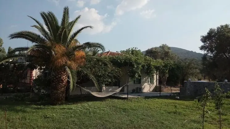 Ev