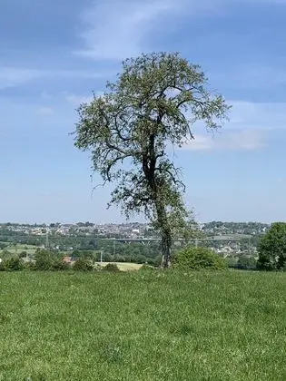 Apart Daire, Banyolu/Duşlu