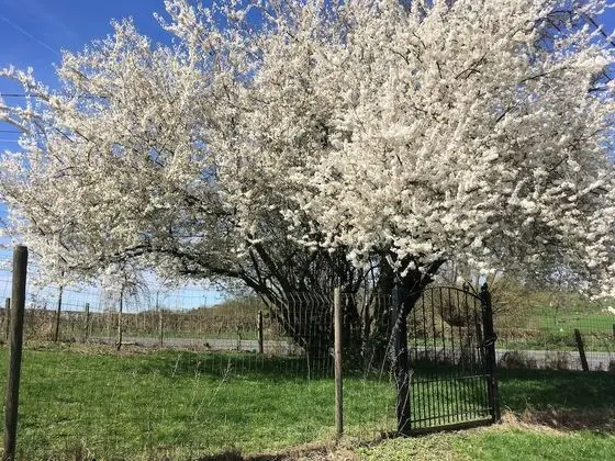 Apart Daire, Banyolu/Duşlu