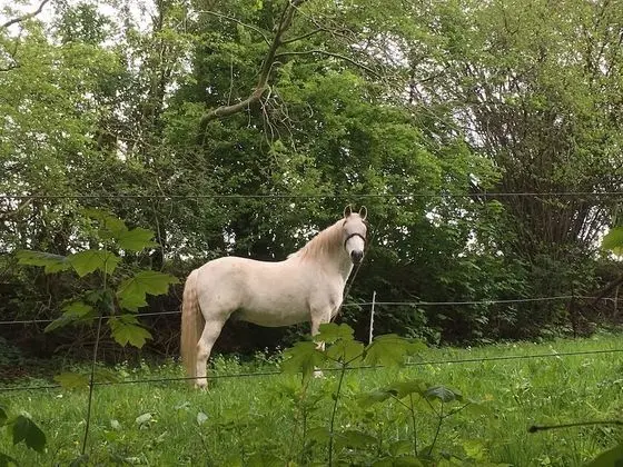 Apart Daire, Banyolu/Duşlu