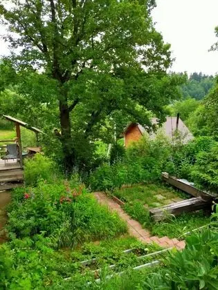 Stüdyo