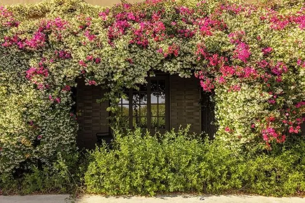 Deluxe Tek Büyük veya İki Ayrı Yataklı Oda, Bahçe Manzaralı