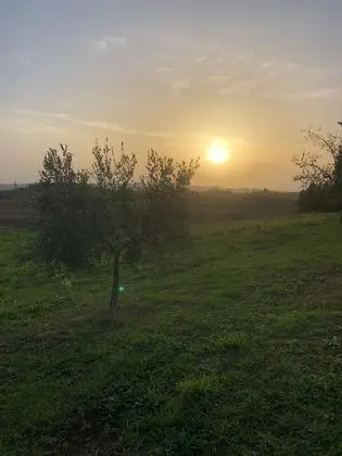 Apart Daire, Birden Çok Yatak