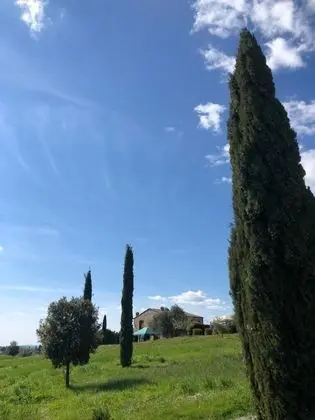 Apart Daire, Birden Çok Yatak