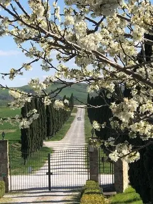 Apart Daire, Birden Çok Yatak