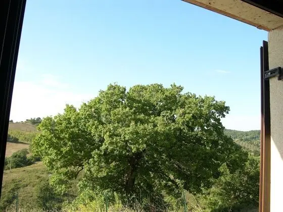 Family Oda, 2 Yatak Odası, Vadi Manzaralı