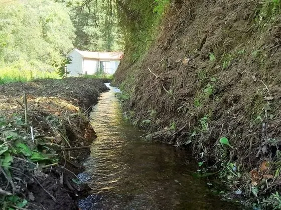 Kır Evi, 1 Büyük (Queen) Boy Yatak ve Çekyat