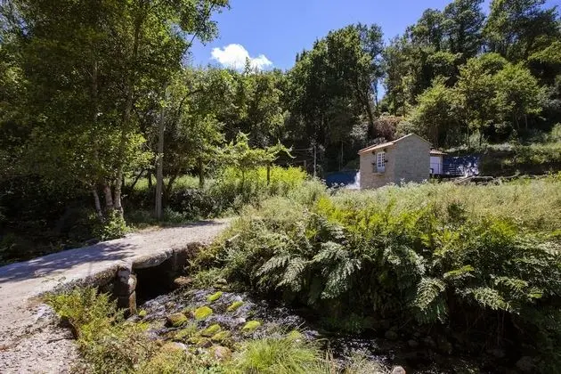 Kır Evi, 1 Büyük (Queen) Boy Yatak ve Çekyat
