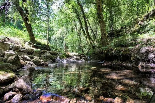 Kır Evi, 1 Büyük (Queen) Boy Yatak ve Çekyat