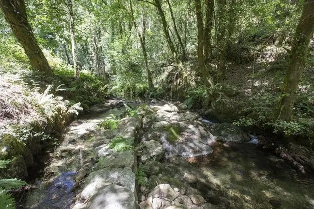 Kır Evi, 1 Büyük (Queen) Boy Yatak ve Çekyat