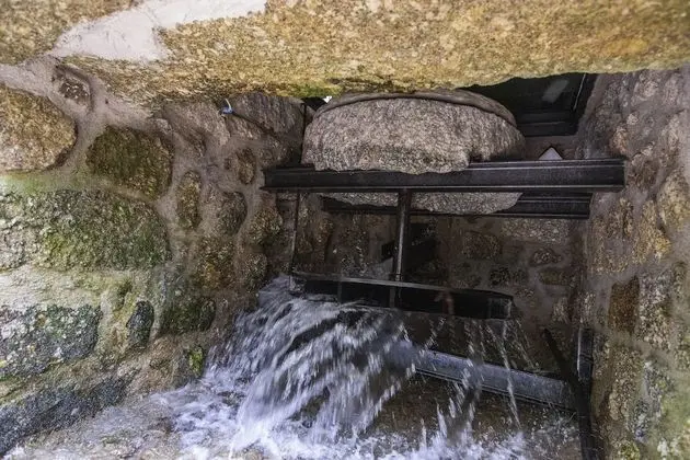 Kır Evi, 1 Büyük (Queen) Boy Yatak ve Çekyat