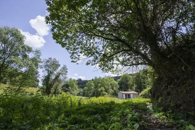 Kır Evi, 1 Büyük (Queen) Boy Yatak ve Çekyat